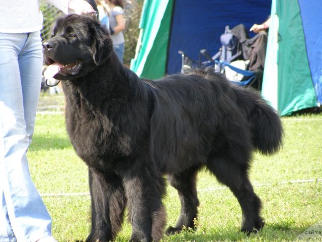 Фотография № 17661