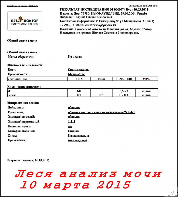 Фотография № 176613