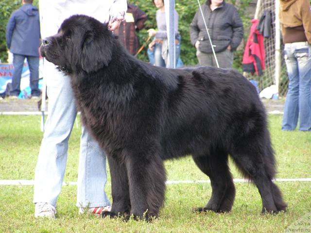 Фотография № 17664