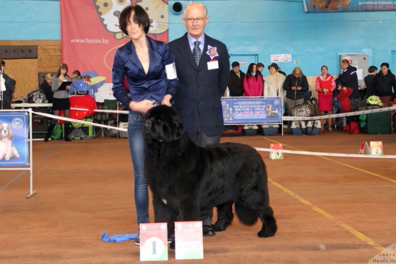 Фотография № 176645