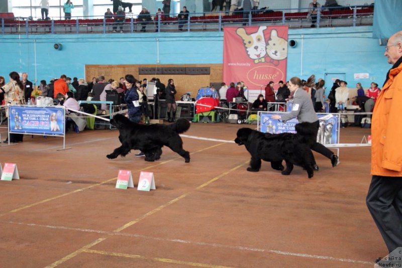 Фотография № 176646