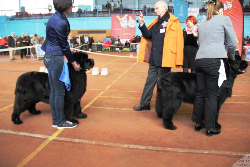 Фотография № 176648