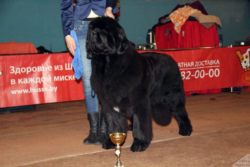 Фотография № 176649