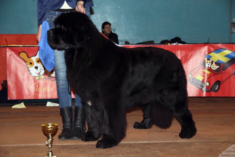 Фотография № 176650