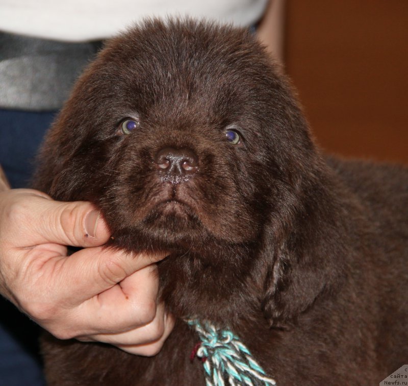 Фотография № 176660