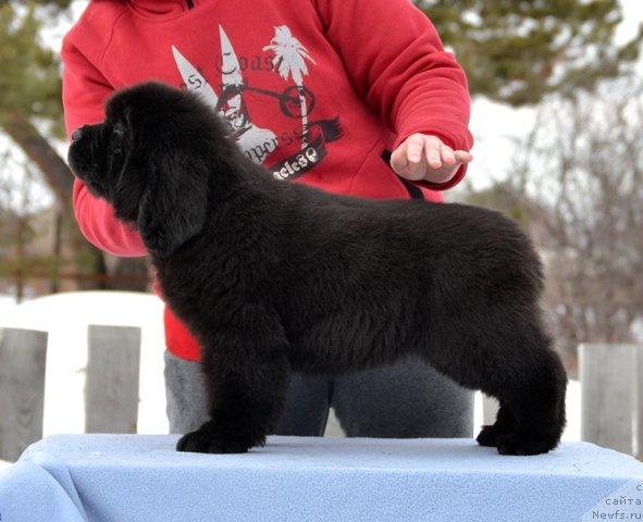 Фотография № 176674