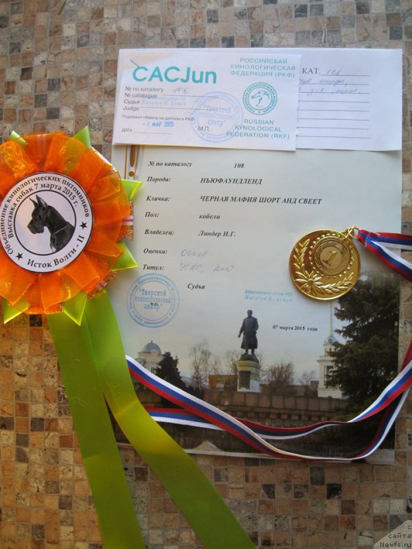 Фотография № 176683