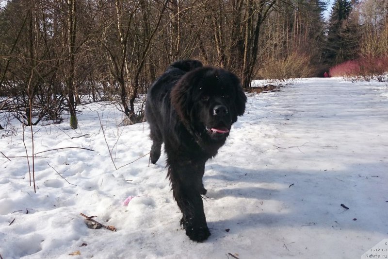 Фотография № 176685