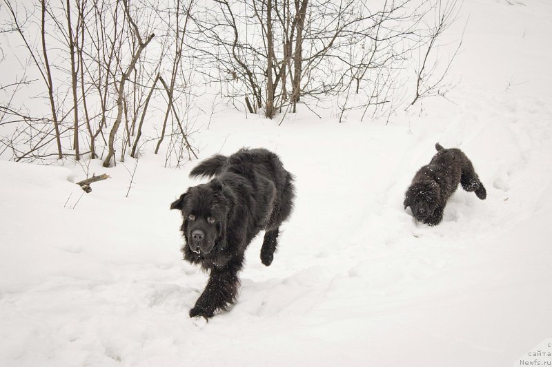 Фотография № 176704