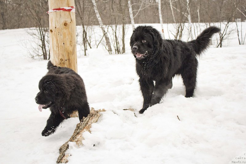 Фотография № 176708