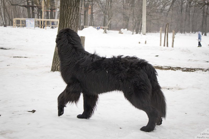 Фотография № 176709