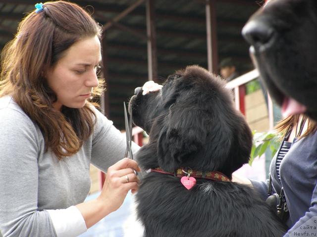 Фотография № 17673