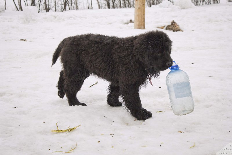 Фотография № 176733