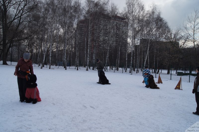 Фотография № 176755