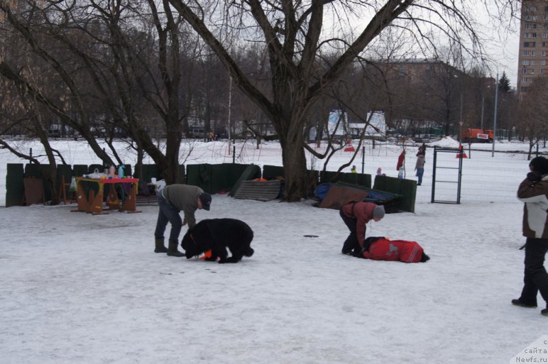 Фотография № 176762