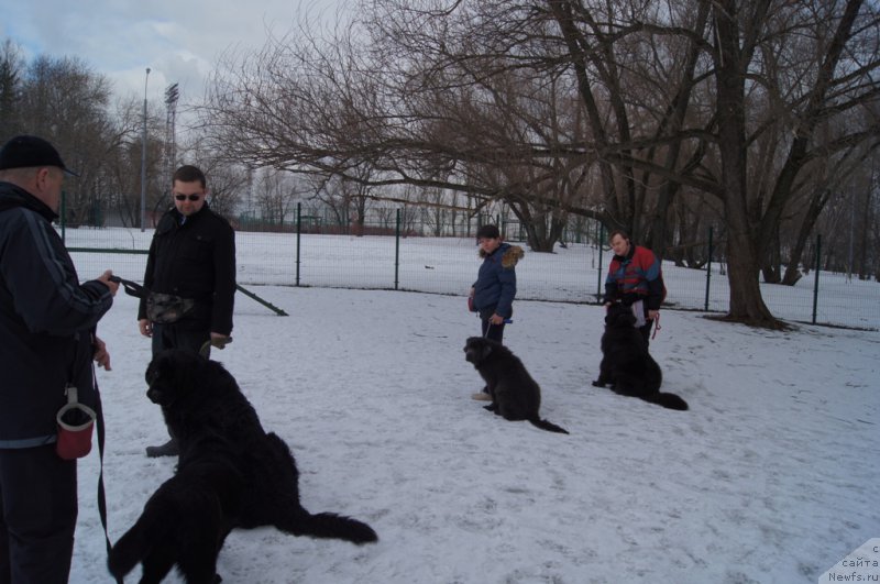 Фотография № 176766