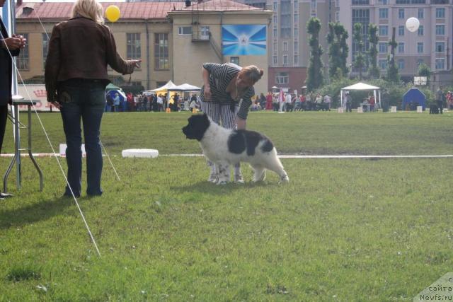 Фотография № 17677