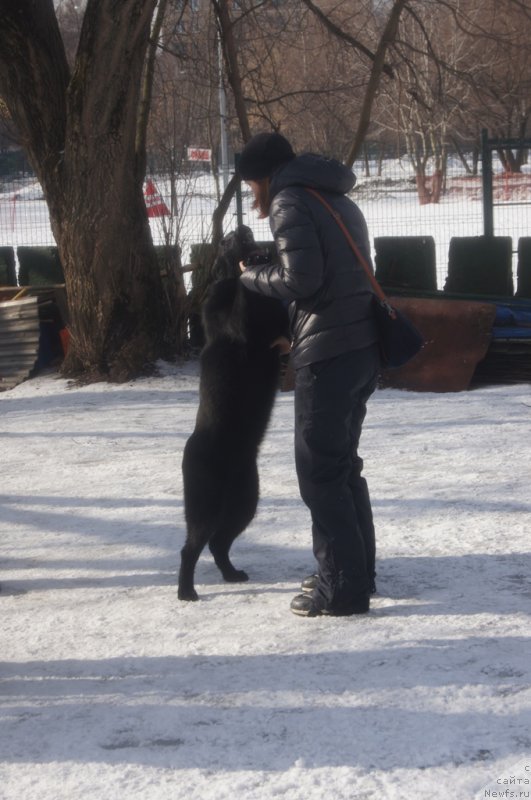 Фото: Мария Бойкова