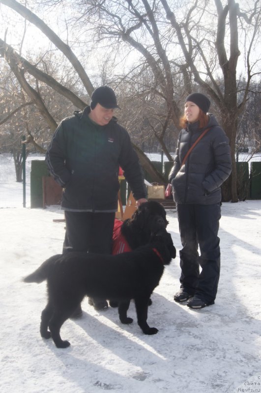 Фотография № 176782