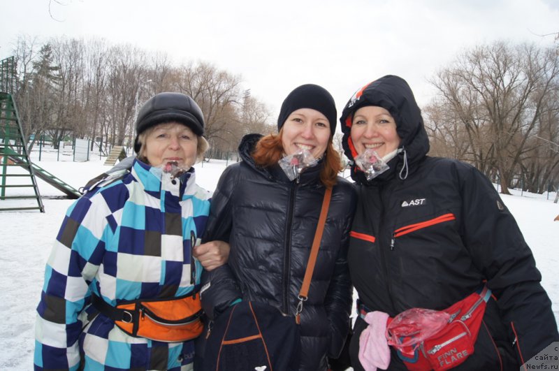 Фотография № 176785