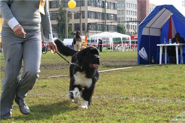 Фотография № 17680