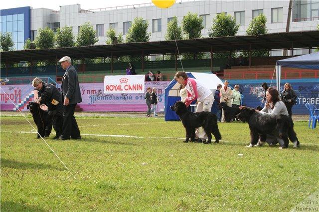 Фотография № 17683