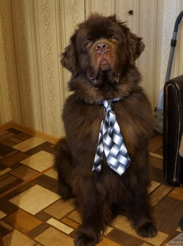 Фотография № 176882