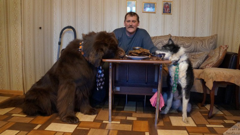 Фотография № 176883