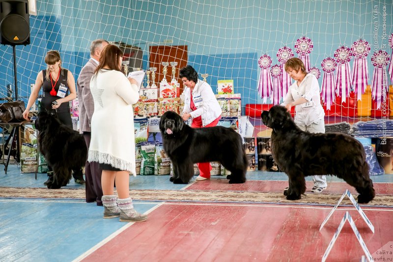 Фотография № 176885