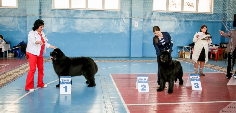 Фотография № 176887