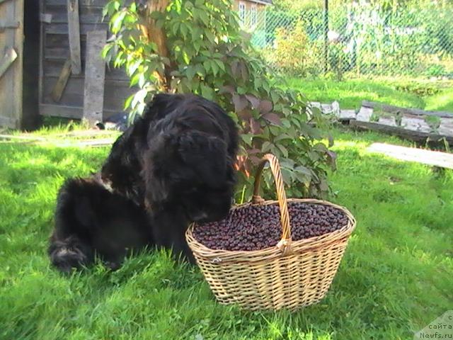 Фотография № 17691