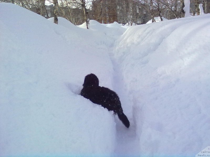 Фотография № 176917