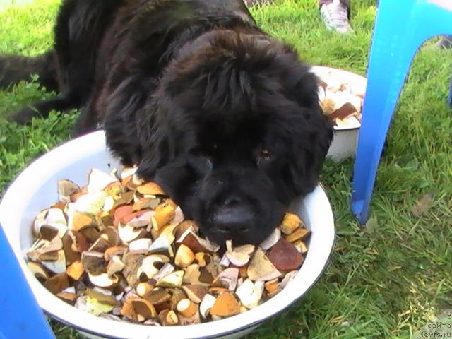 Фотография № 17692