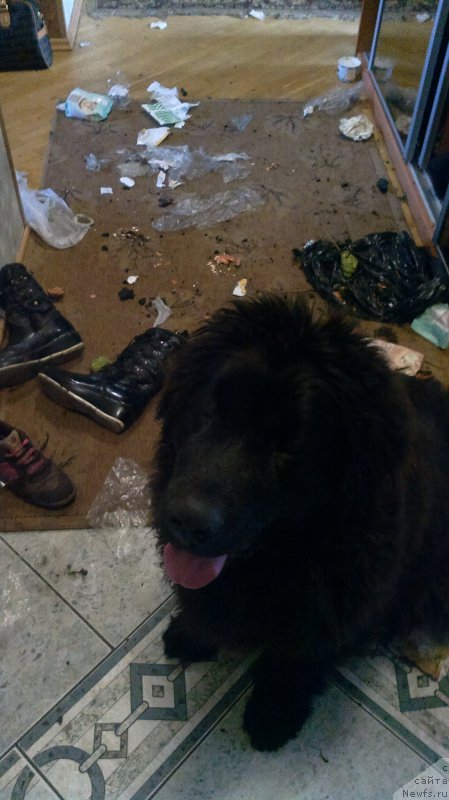 Фото: Ривер