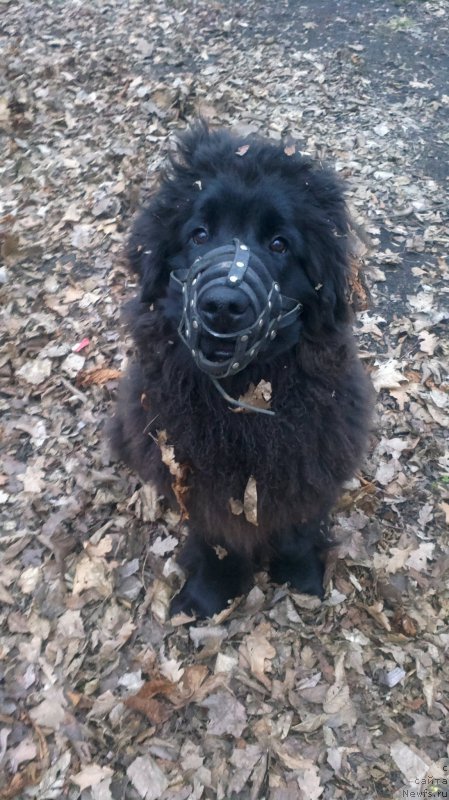 Фото: Ривер