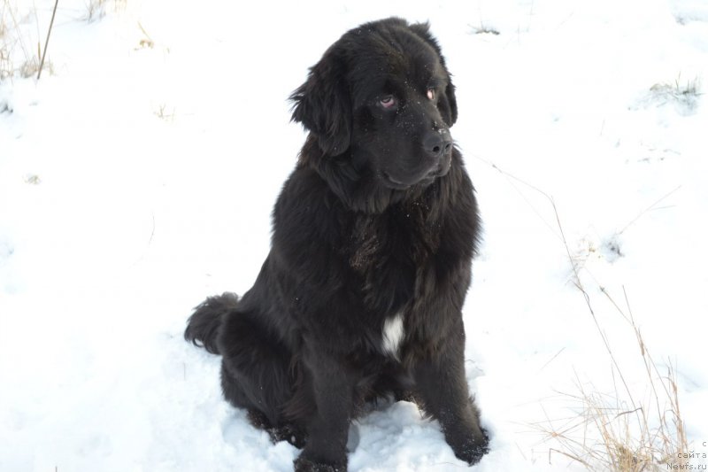 Фото: Елена Бацкалевич