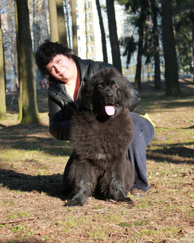 Фотография № 176960