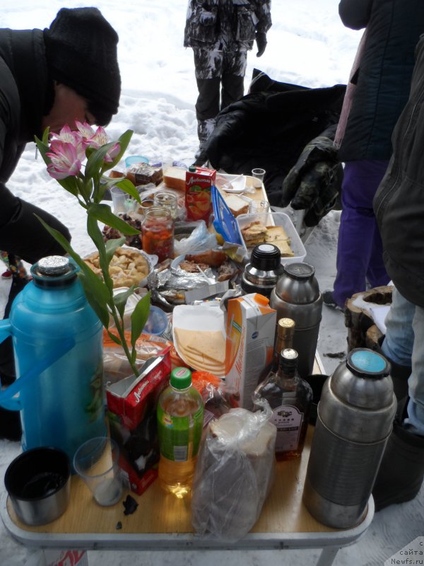 Фотография № 176982