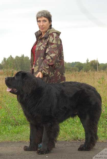 Фотография № 17699