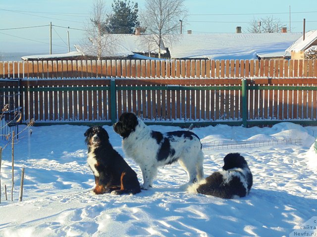 Фотография № 176992