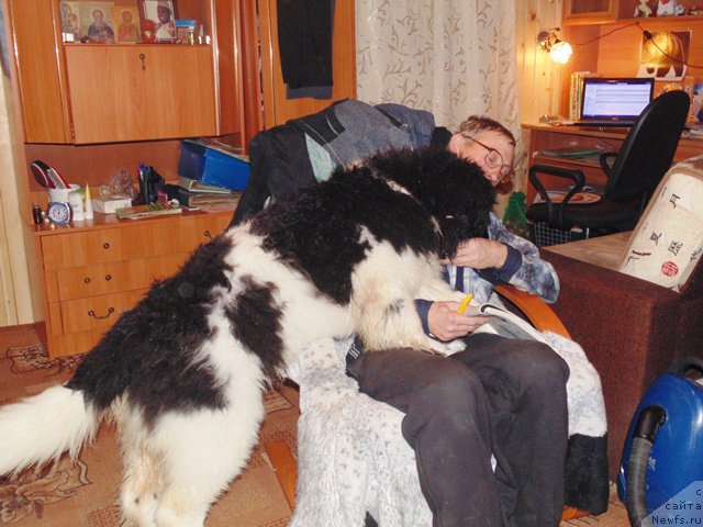 Фотография № 176997