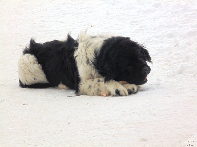 Фотография № 176999