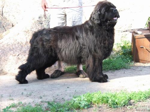 Фотография № 177