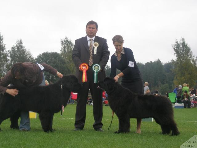 Фотография № 17700