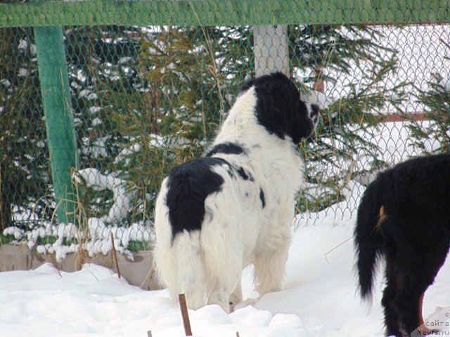 Фотография № 177001