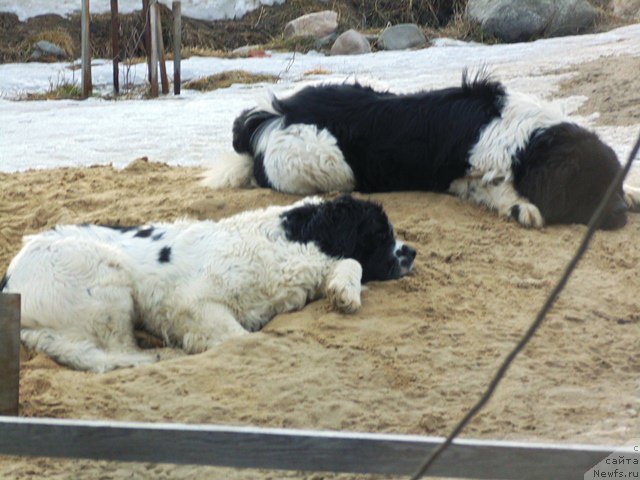 Фотография № 177006