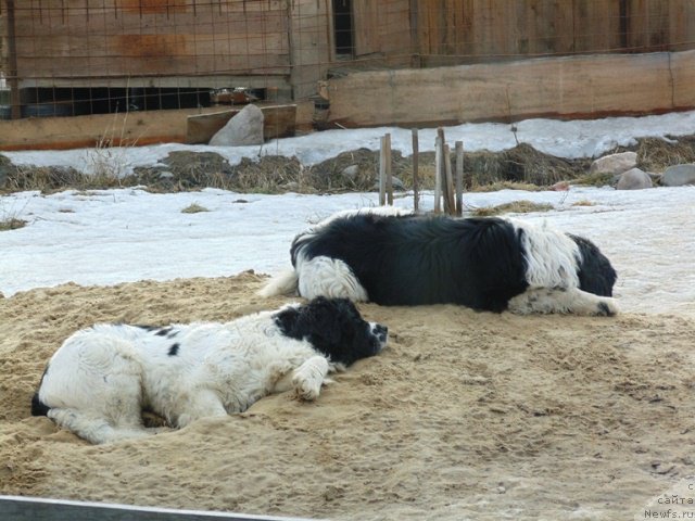 Фотография № 177008