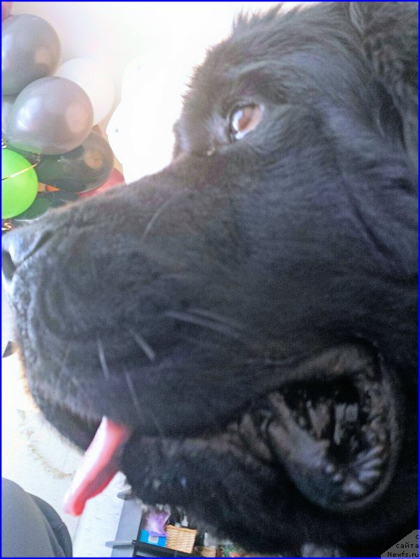 Фотография № 177012