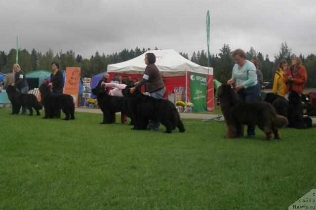 Фотография № 17707