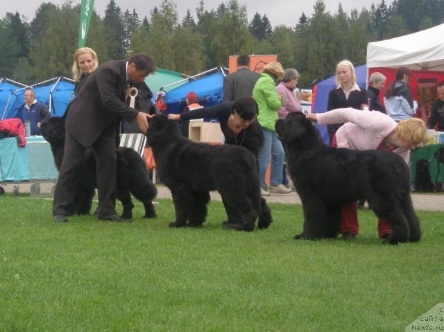 Фотография № 17708